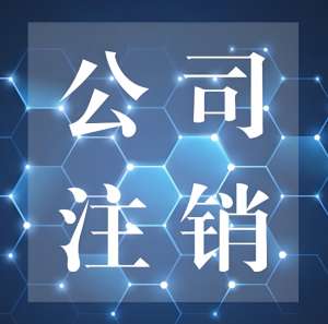在蕪湖如何找專業(yè)的公司注銷代理服務(wù)